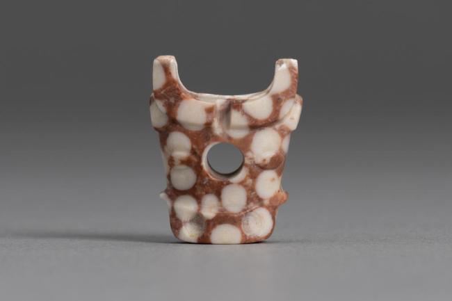 陕西公布富平长春遗址白家墓地发掘成果