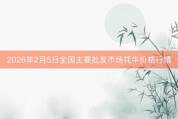 2026年2月5日全国主要批发市场牦牛价格行情
