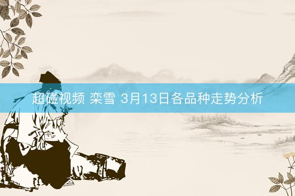 超碰视频 栾雪 3月13日各品种走势分析
