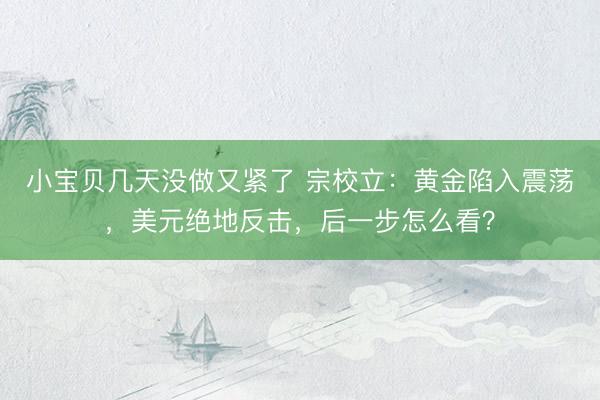 小宝贝几天没做又紧了 宗校立：黄金陷入震荡，美元绝地反击，后一步怎么看？