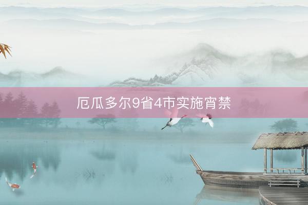 厄瓜多尔9省4市实施宵禁
