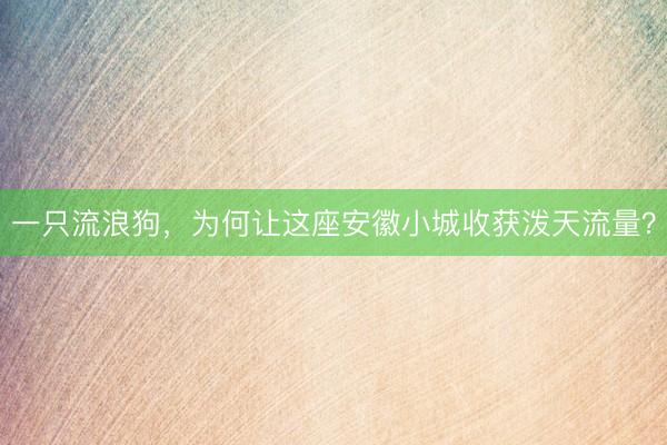 一只流浪狗，为何让这座安徽小城收获泼天流量？
