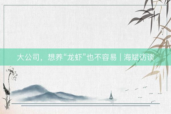 大公司，想养“龙虾”也不容易 | 海斌访谈