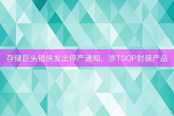 存储巨头铠侠发出停产通知，涉TSOP封装产品