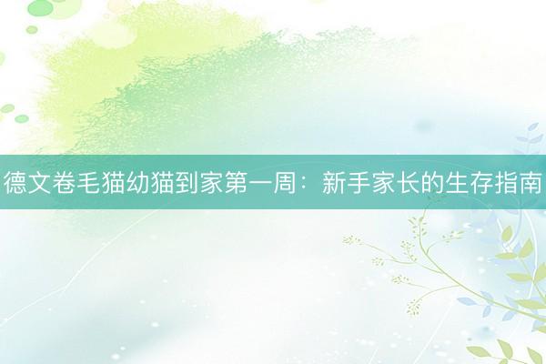 德文卷毛猫幼猫到家第一周：新手家长的生存指南
