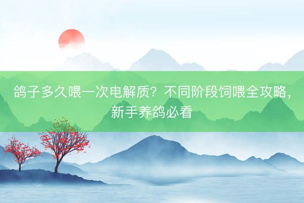 鸽子多久喂一次电解质？不同阶段饲喂全攻略，新手养鸽必看