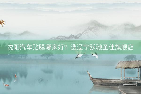 沈阳汽车贴膜哪家好？选辽宁跃驰圣佳旗舰店