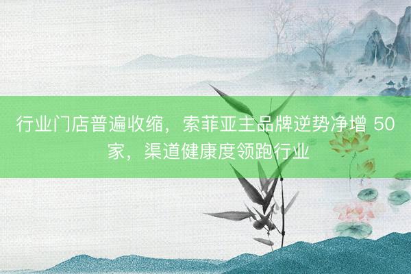 行业门店普遍收缩，索菲亚主品牌逆势净增 50 家，渠道健康度领跑行业