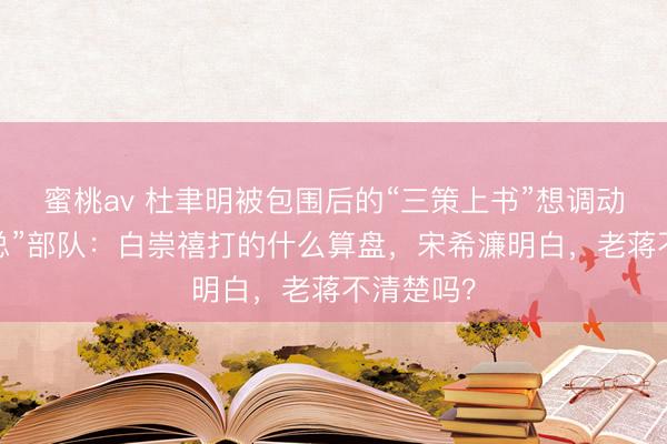 蜜桃av 杜聿明被包围后的“三策上书”想调动华中“剿总”部队：白崇禧打的什么算盘，宋希濂明白，老蒋不清楚吗？