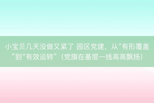 小宝贝几天没做又紧了 园区党建，从“有形覆盖”到“有效运转”（党旗在基层一线高高飘扬）