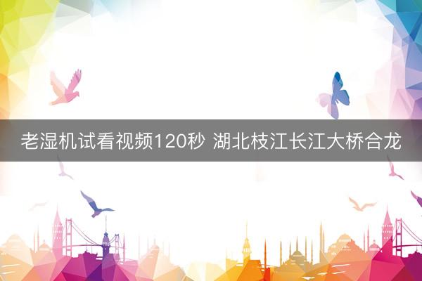 老湿机试看视频120秒 湖北枝江长江大桥合龙