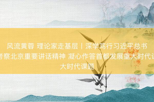 风流黄蓉 理论家走基层丨深学笃行习近平总书记考察北京重要讲话精神 凝心作答首都发展重大时代课题