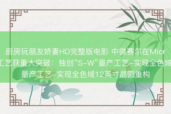 厨房玩朋友娇妻HD完整版电影 中微赛尔在Micro LED量产关键工艺获重大突破：独创“S-W”量产工艺-实现全色域12英寸晶圆重构