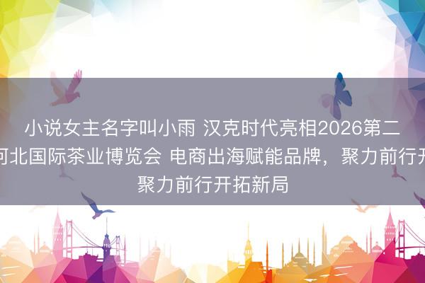 小说女主名字叫小雨 汉克时代亮相2026第二十二届河北国际茶业博览会 电商出海赋能品牌，聚力前行开拓新局