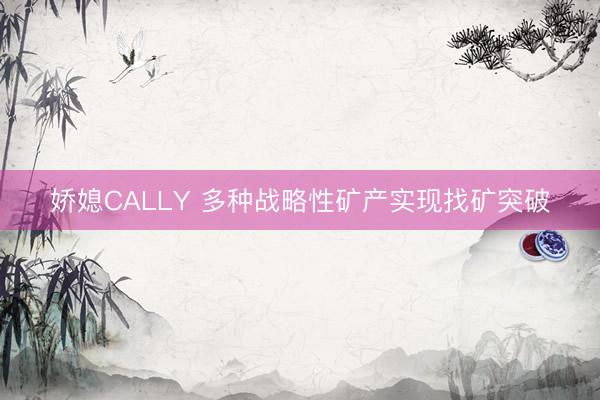 娇媳CALLY 多种战略性矿产实现找矿突破