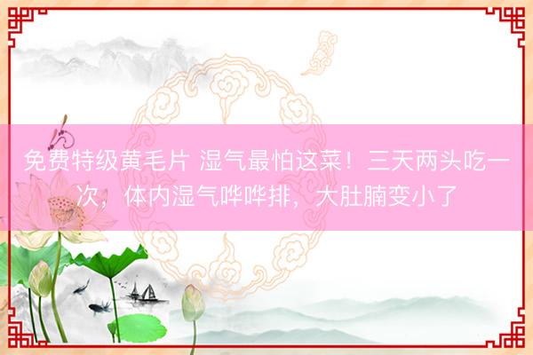 免费特级黄毛片 湿气最怕这菜！三天两头吃一次，体内湿气哗哗排，大肚腩变小了
