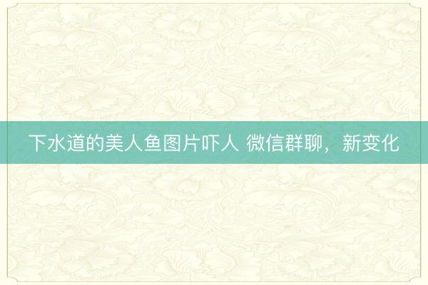 下水道的美人鱼图片吓人 微信群聊，新变化