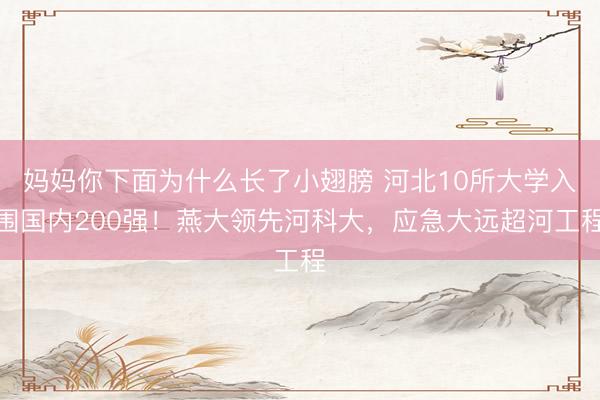 妈妈你下面为什么长了小翅膀 河北10所大学入围国内200强！燕大领先河科大，应急大远超河工程