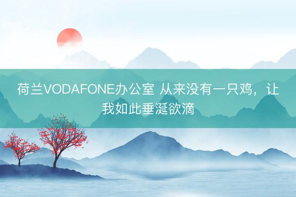 荷兰VODAFONE办公室 从来没有一只鸡,让我如此垂涎欲滴