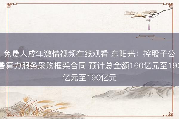 免费人成年激情视频在线观看 东阳光：控股子公司签署算力服务采购框架合同 预计总金额160亿元至190亿元