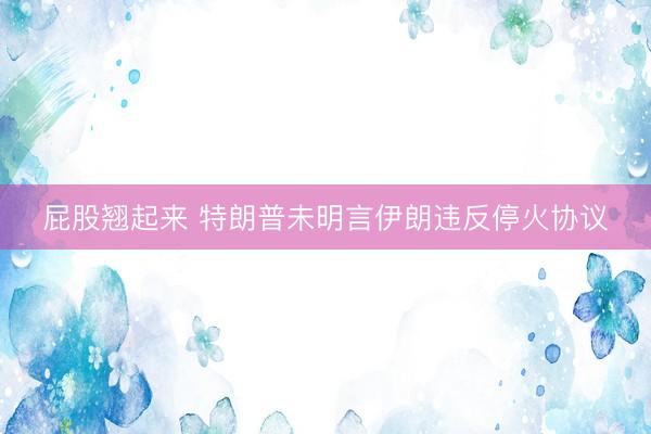 屁股翘起来 特朗普未明言伊朗违反停火协议