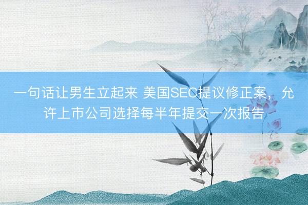一句话让男生立起来 美国SEC提议修正案，允许上市公司选择每半年提交一次报告