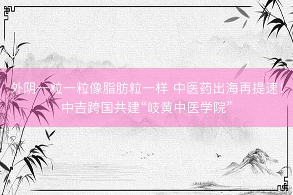 外阴一粒一粒像脂肪粒一样 中医药出海再提速！中吉跨国共建“岐黄中医学院”