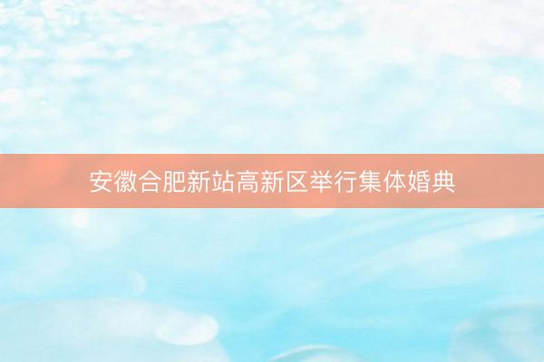 安徽合肥新站高新区举行集体婚典