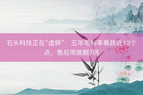 石头科技正在“虚胖”：五年毛利率暴跌近13个点，售后用度翻7倍