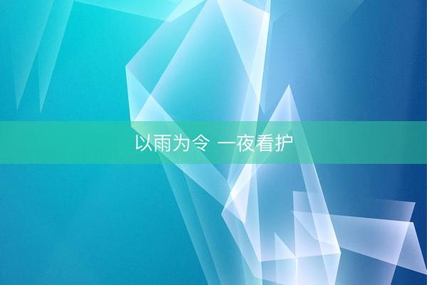 以雨为令 一夜看护