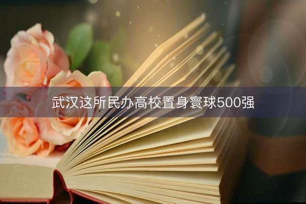 武汉这所民办高校置身寰球500强