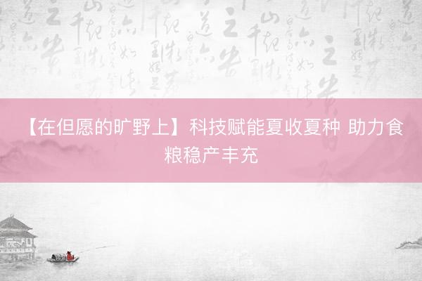 【在但愿的旷野上】科技赋能夏收夏种 助力食粮稳产丰充