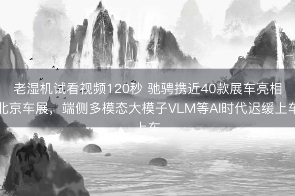 老湿机试看视频120秒 驰骋携近40款展车亮相北京车展，端侧多模态大模子VLM等AI时代迟缓上车