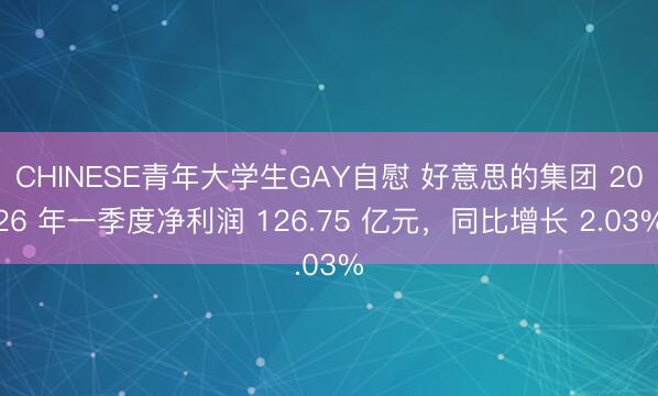 CHINESE青年大学生GAY自慰 好意思的集团 2026 年一季度净利润 126.75 亿元，同比增长 2.03%