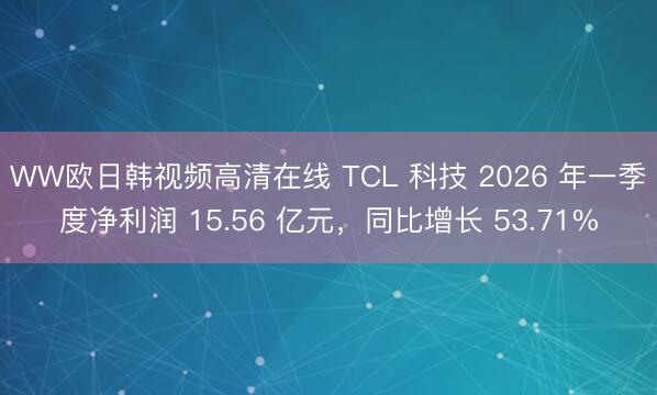 WW欧日韩视频高清在线 TCL 科技 2026 年一季度净利润 15.56 亿元，同比增长 53.71%