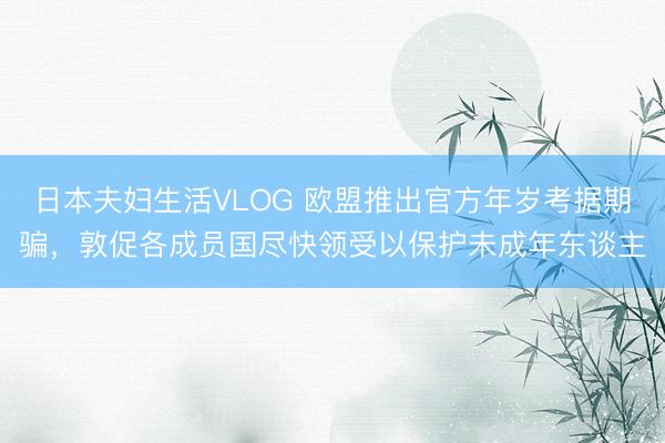 日本夫妇生活VLOG 欧盟推出官方年岁考据期骗，敦促各成员国尽快领受以保护未成年东谈主
