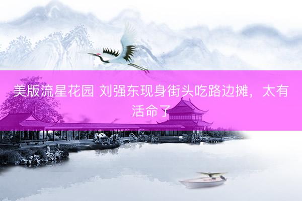 美版流星花园 刘强东现身街头吃路边摊，太有活命了