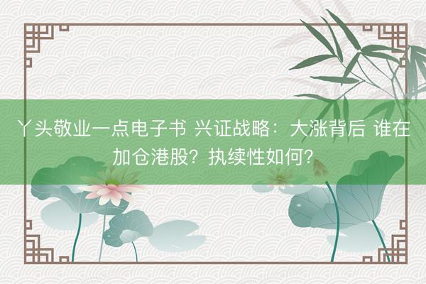 丫头敬业一点电子书 兴证战略：大涨背后 谁在加仓港股？执续性如何？