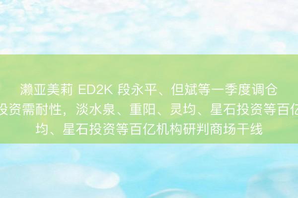 濑亚美莉 ED2K 段永平、但斌等一季度调仓曝光！科技赛说念投资需耐性，淡水泉、重阳、灵均、星石投资等百亿机构研判商场干线