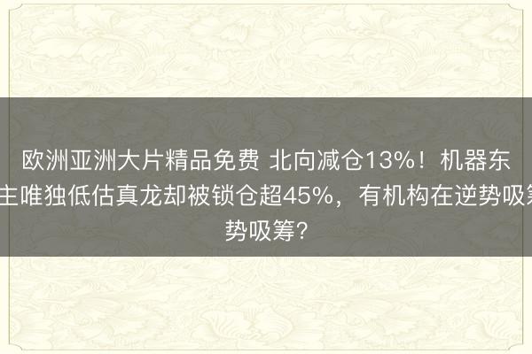 欧洲亚洲大片精品免费 北向减仓13%！机器东谈主唯独低估真龙却被锁仓超45%，有机构在逆势吸筹？