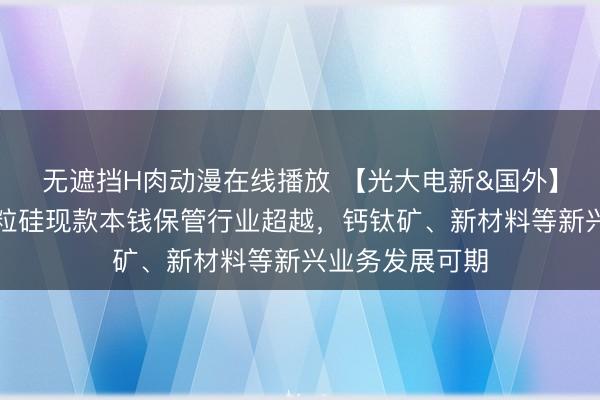 无遮挡H肉动漫在线播放 【光大电新&国外】协鑫科技：颗粒硅现款本钱保管行业超越，钙钛矿、新材料等新兴业务发展可期