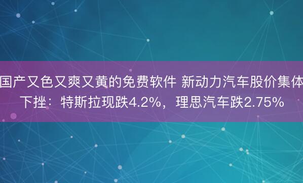 国产又色又爽又黄的免费软件 新动力汽车股价集体下挫：特斯拉现跌4.2%，理思汽车跌2.75%