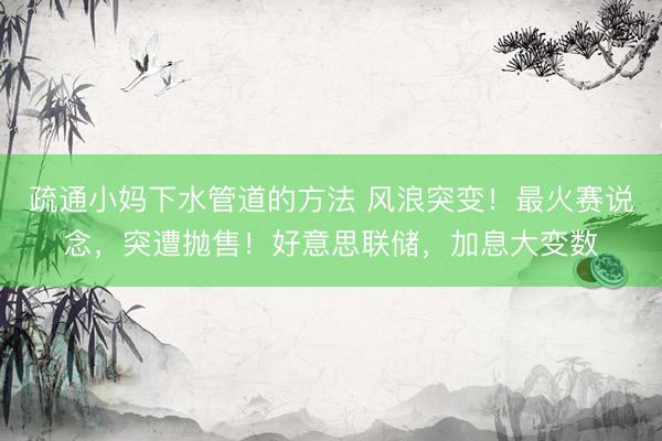 疏通小妈下水管道的方法 风浪突变！最火赛说念，突遭抛售！好意思联储，加息大变数