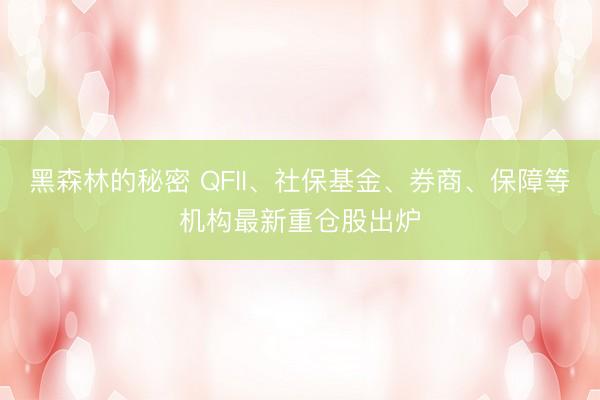 黑森林的秘密 QFII、社保基金、券商、保障等机构最新重仓股出炉