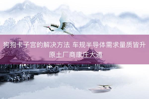 狗狗卡子宫的解决方法 车规半导体需求量质皆升 原土厂商康庄大道