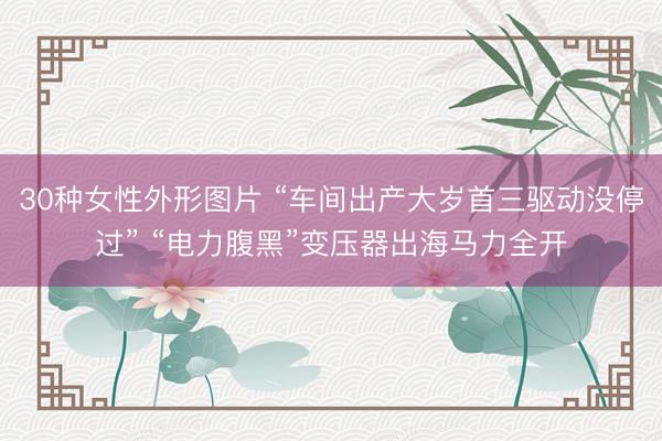 30种女性外形图片 “车间出产大岁首三驱动没停过” “电力腹黑”变压器出海马力全开