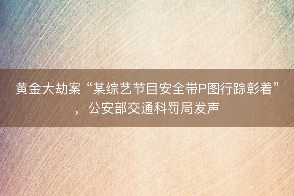 黄金大劫案 “某综艺节目安全带P图行踪彰着”，公安部交通科罚局发声