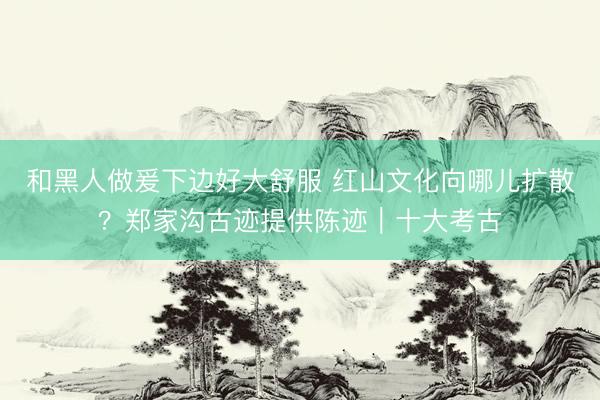 和黑人做爰下边好大舒服 红山文化向哪儿扩散？郑家沟古迹提供陈迹｜十大考古