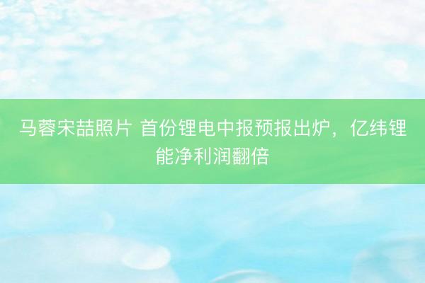 马蓉宋喆照片 首份锂电中报预报出炉，亿纬锂能净利润翻倍