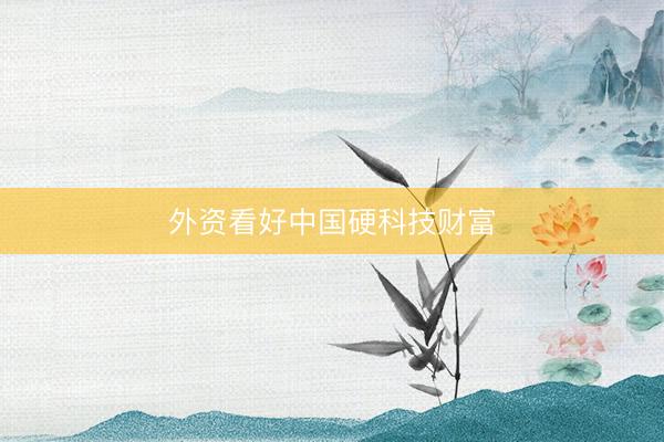 外资看好中国硬科技财富